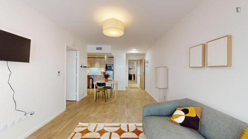Spacious apartment in Paris