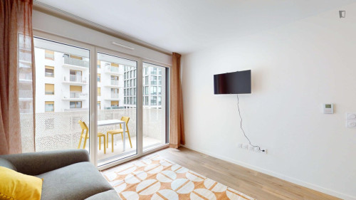 Spacious apartment in Paris