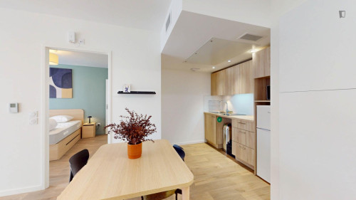 Spacious apartment in Paris - Gallery - 7