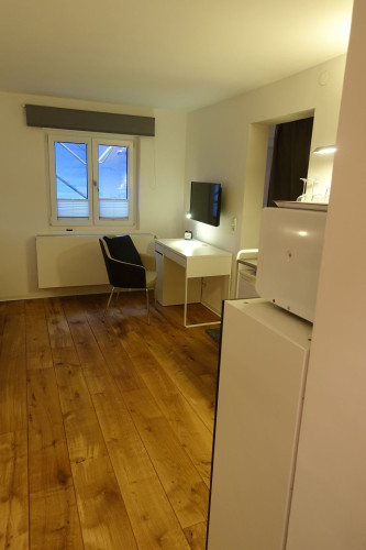 Fully equipped, modern apartment 10 km from Heidelberg in Oftersheim - Gallery - 5