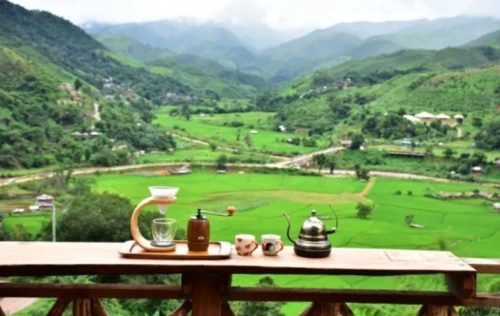 Student Homestay - Gallery - 8
