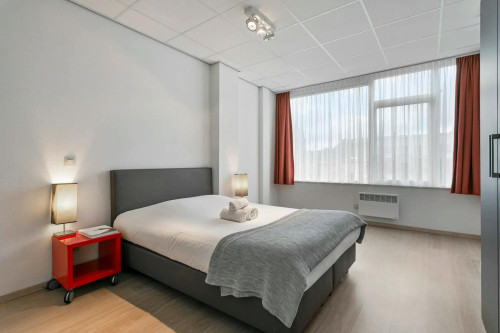 Rue du Marché, Saint-Josse-ten-Noode - Gallery - 9