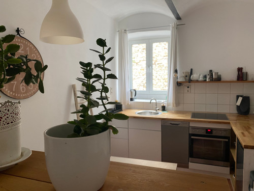 Gorgeous and nice House in Mainz - fully equipped - Gallery - 19