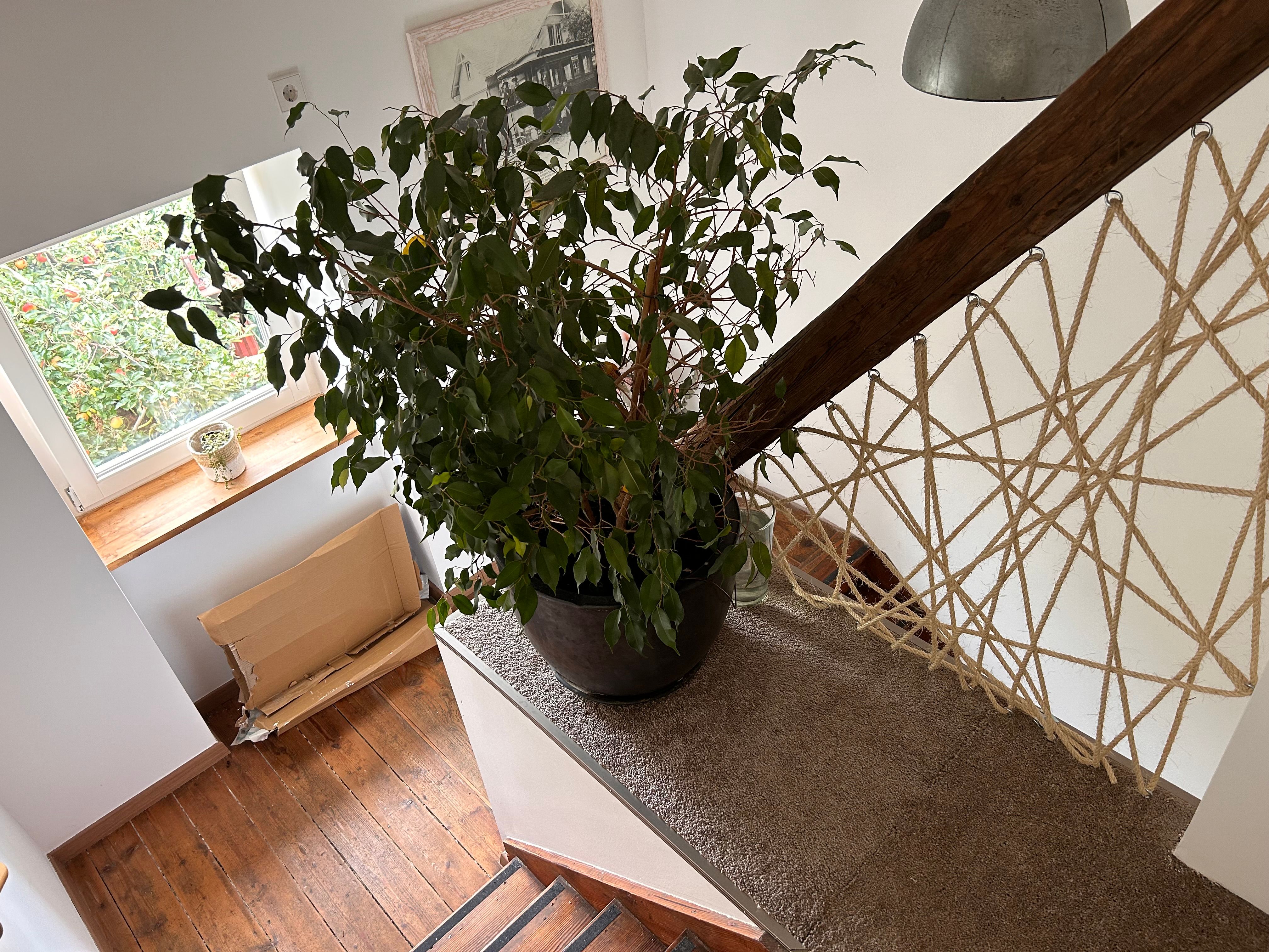 Gorgeous And Nice House In Mainz - Fully Equipped - 5