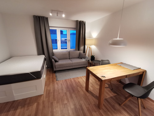 Möbliertes Apartment in Stuttgart-Vaihingen – zentral, top angebunden, sofort bezugsfertig - Gallery - 5