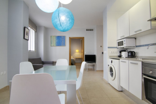 VLC Downtown Flats  - Gallery -  3