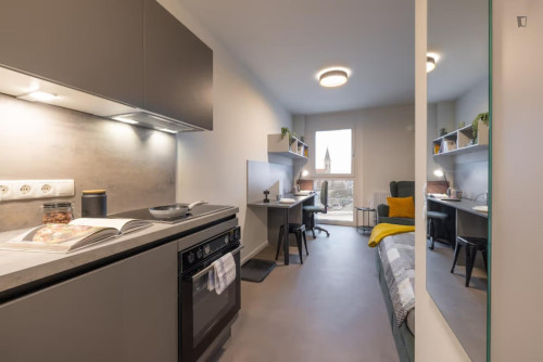 Welcoming studio in the Jakomini neighbourhood - Gallery - 16