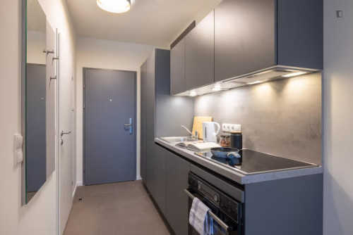 Welcoming studio in the Jakomini neighbourhood - Gallery - 18