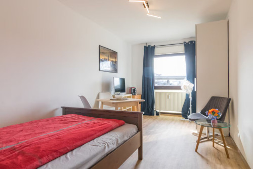Simple and central studio in Mannheim