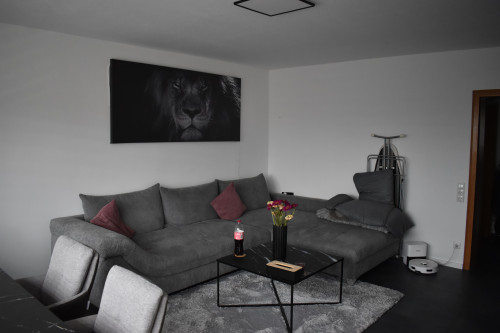 Beautifully furnished 3 room apartment at the Rhein