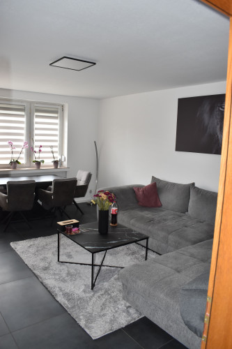 Beautifully furnished 3 room apartment at the Rhein