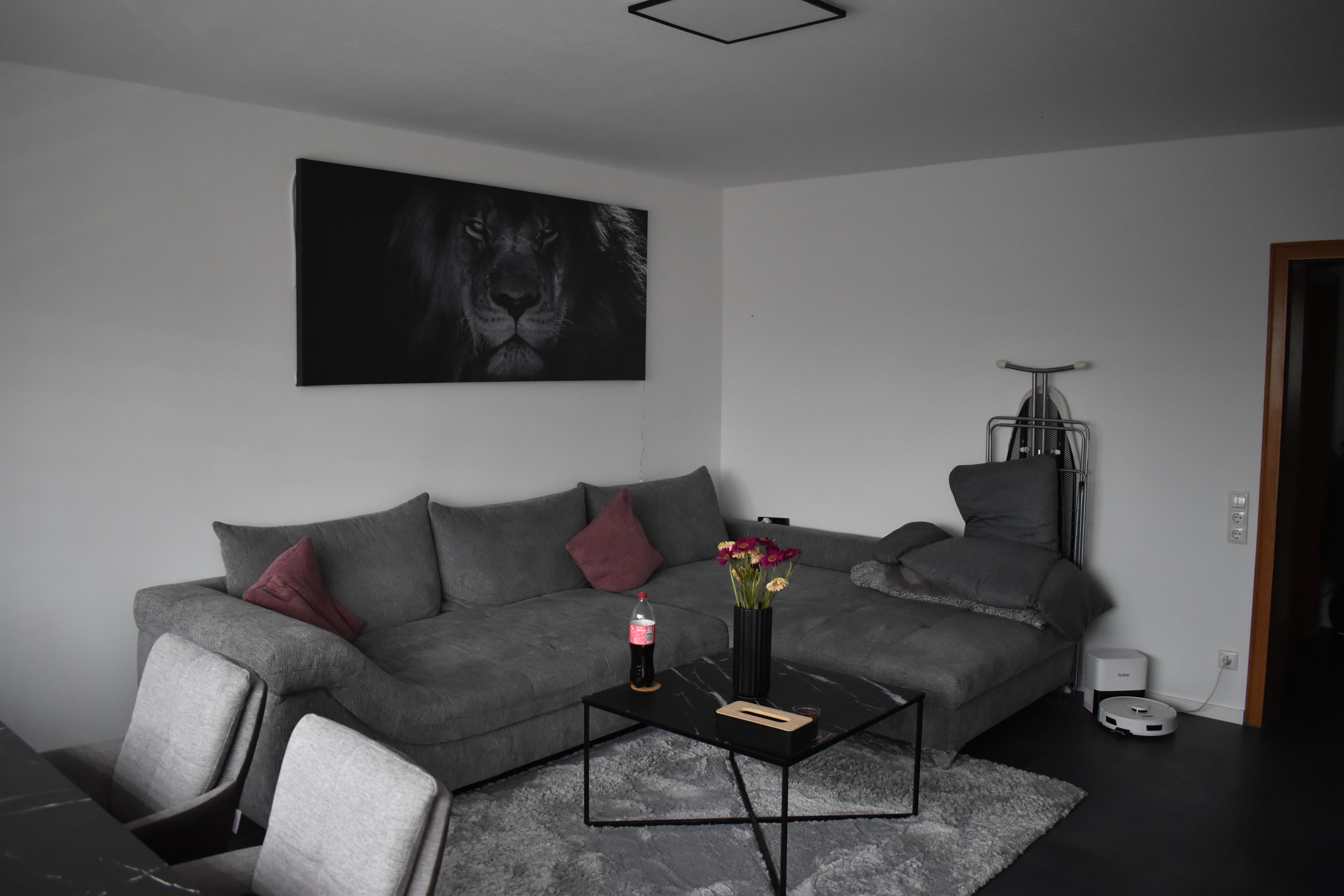 Beautifully Furnished 3 Room Apartment At The Rhein - 13