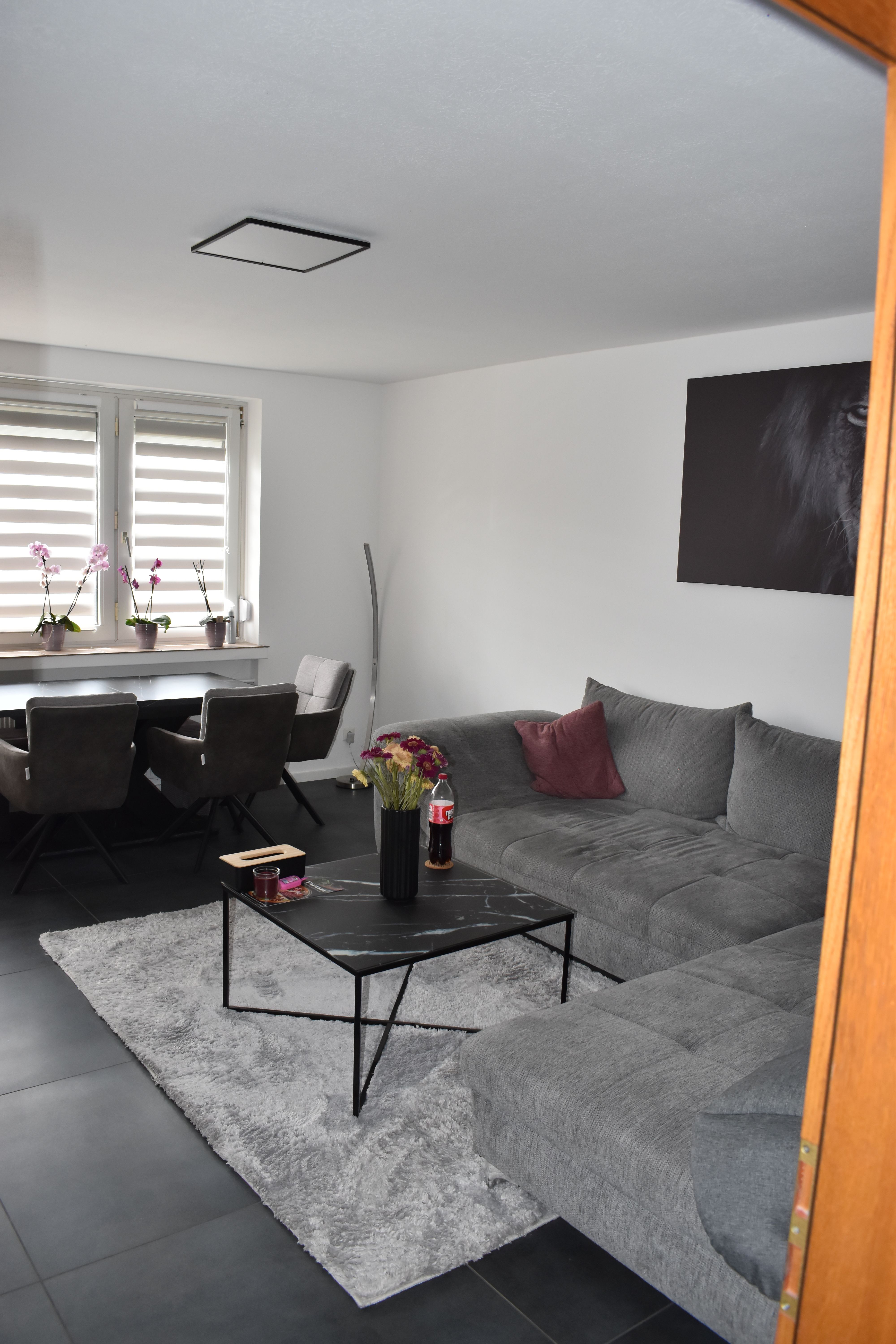 Beautifully Furnished 3 Room Apartment At The Rhein - 12