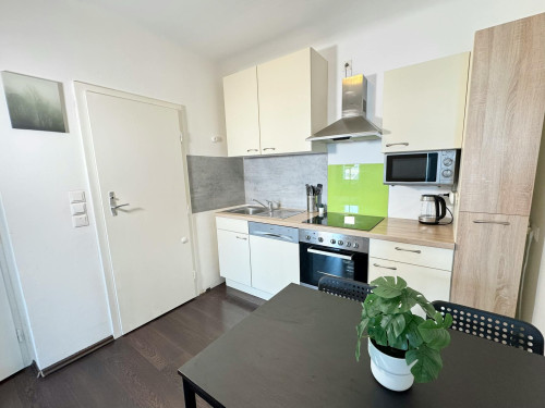 Forsthausgasse, Vienna - Gallery - 5