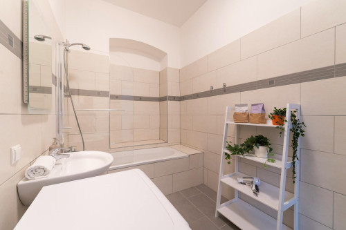Kohlgasse, Vienna - Gallery - 10