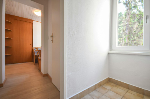 Taubergasse, Vienna - Gallery - 9