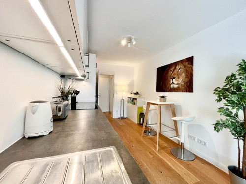 Zacharias-Werner-Straße, Munich - Gallery - 8