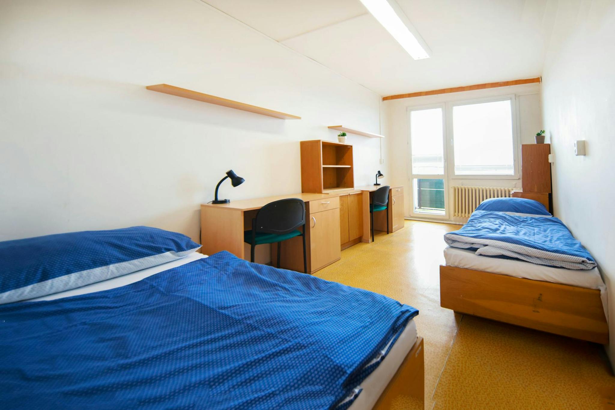 Shared Room - 1