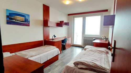 V Zahrádkách, Hlavní město Praha - Gallery - 5