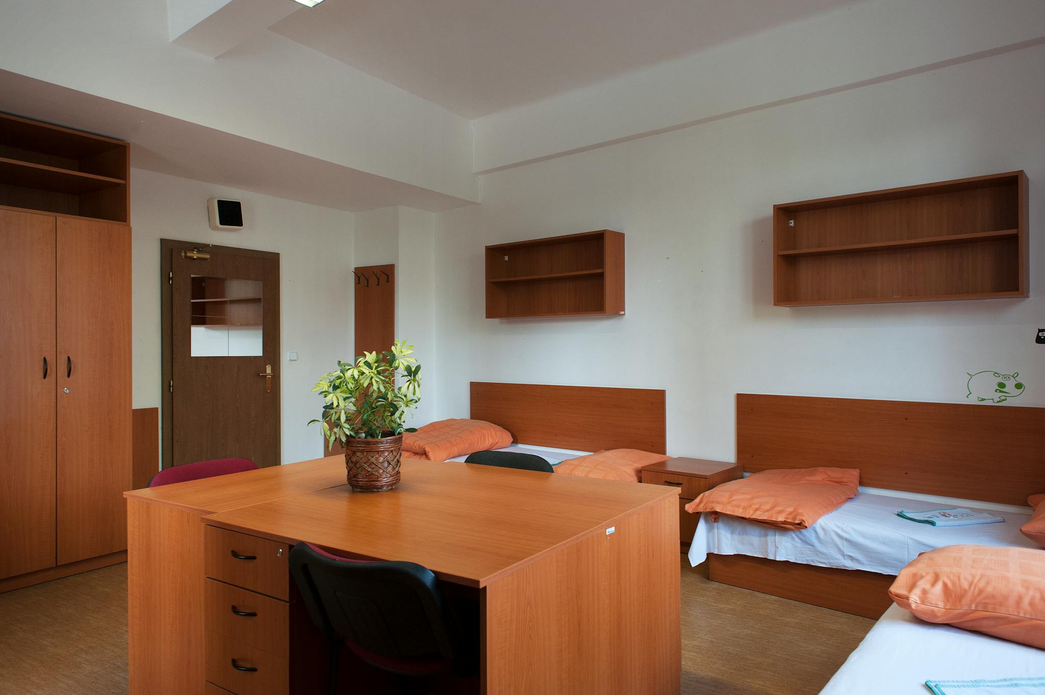 Shared Room - 1