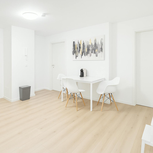 Springerstraße, Munich