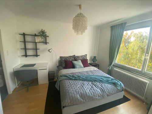 Zwerngasse, Vienna - Gallery - 5