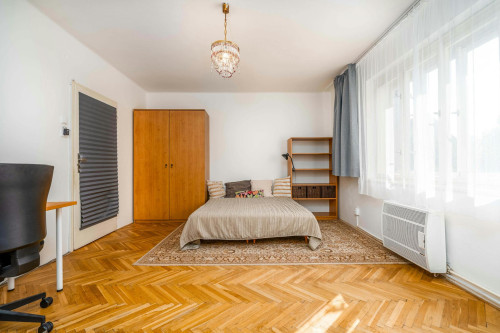 Jiřinková, Prague