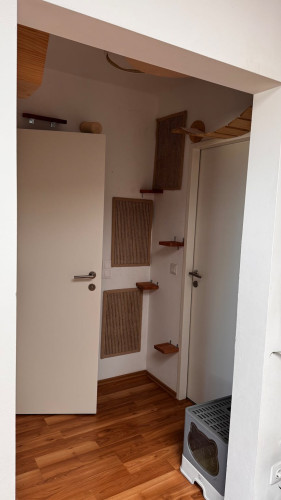 Fickeysstraße, Vienna - Gallery - 5