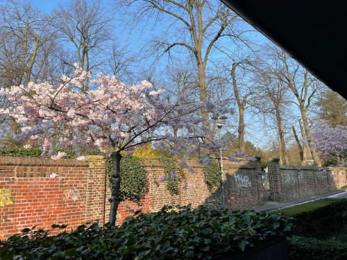 Lovely furnished house in the center of Kaiserswerth within walking distance to ISD - Gallery - 8