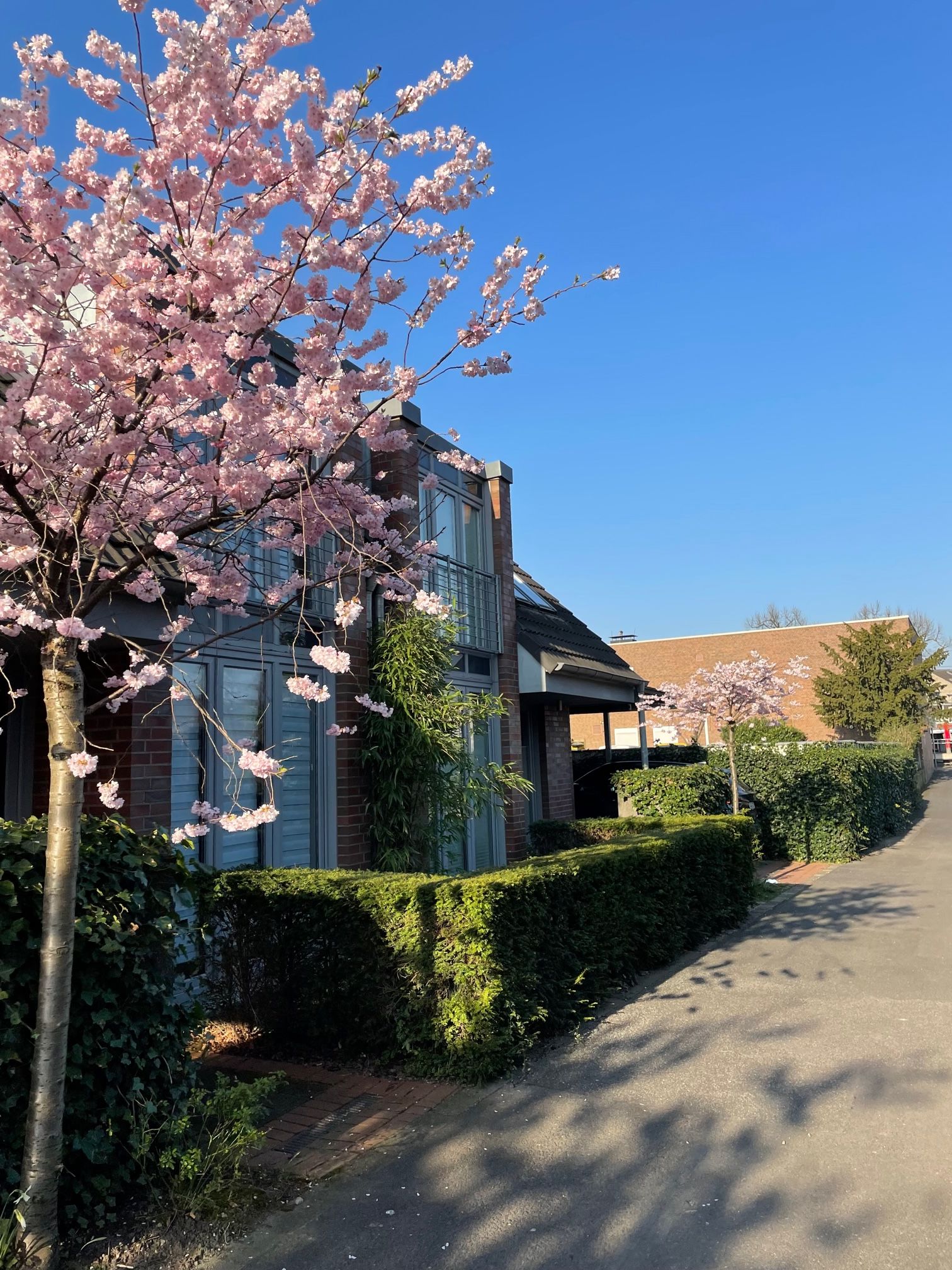 Lovely Furnished House In The Center Of Kaiserswerth Within Walking Distance To ISD - 34