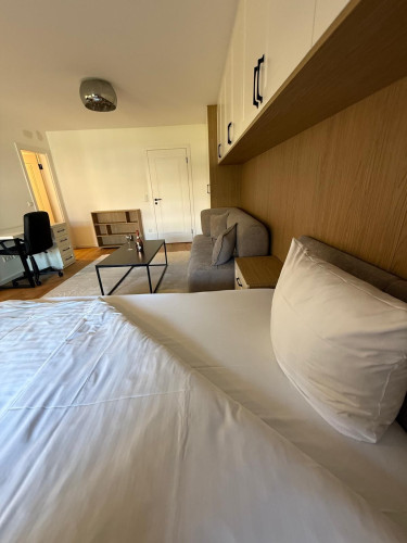 Elegant newly renovated Apartment I Premium Living in Mannheim City Centre