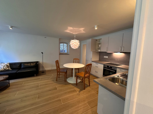 Fully renovated annex apartment in a city villa from 1893 – 55 sqm with garden view - Gallery - 4