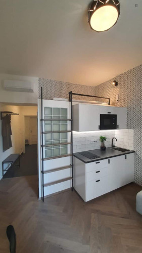 Charming studio near the University of Economics and Business - Gallery - 5