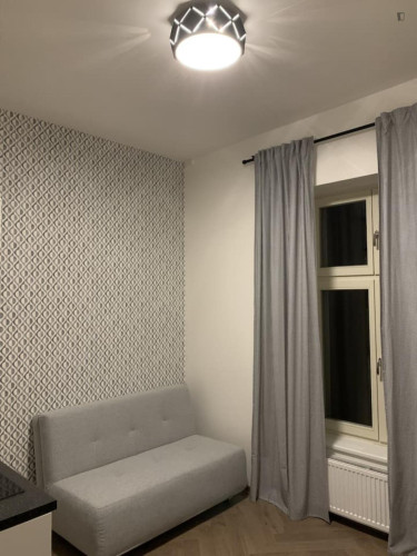 Charming studio near the University of Economics and Business