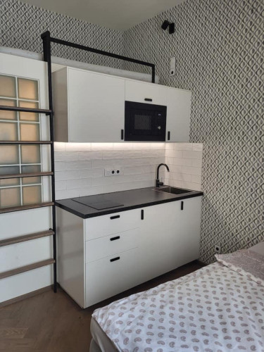 Charming studio near the University of Economics and Business - Gallery - 8