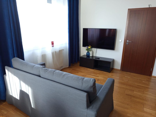 Comfy 1-bedroom flat near the Střížkov subway station