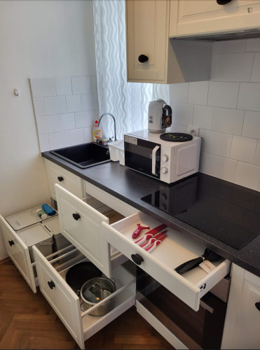 Welcoming 1-bedroom flat near the University of Economics and Business - Gallery - 12