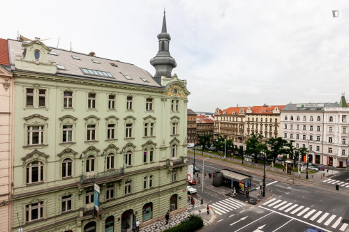 Cozy studio near the University of Economics and Business - Gallery - 5