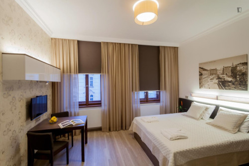 Cozy studio near the University of Economics and Business - Gallery - 18