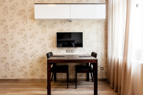 Cozy studio near the University of Economics and Business - Gallery - 17