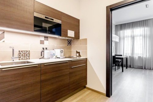 Cozy studio near the University of Economics and Business - Gallery - 15
