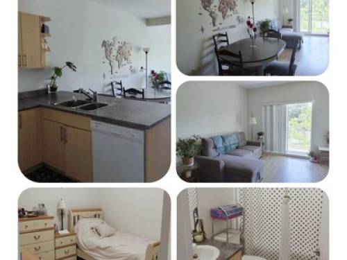 Private room&bath in shared Apt
