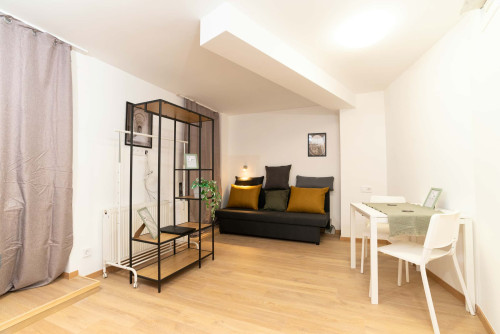 Studio Apartment
