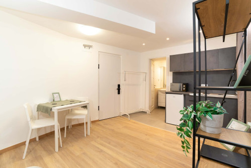 Studio Apartment - Gallery - 6