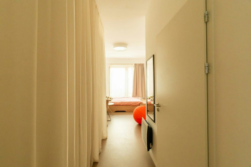 Rue Marcel Paul, Villejuif - Gallery - 5