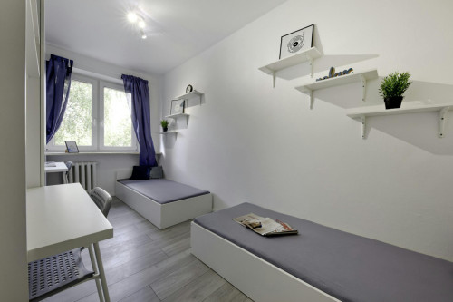 Wiolinowa, Warsaw