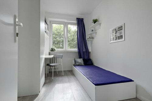 Wiolinowa, Warsaw