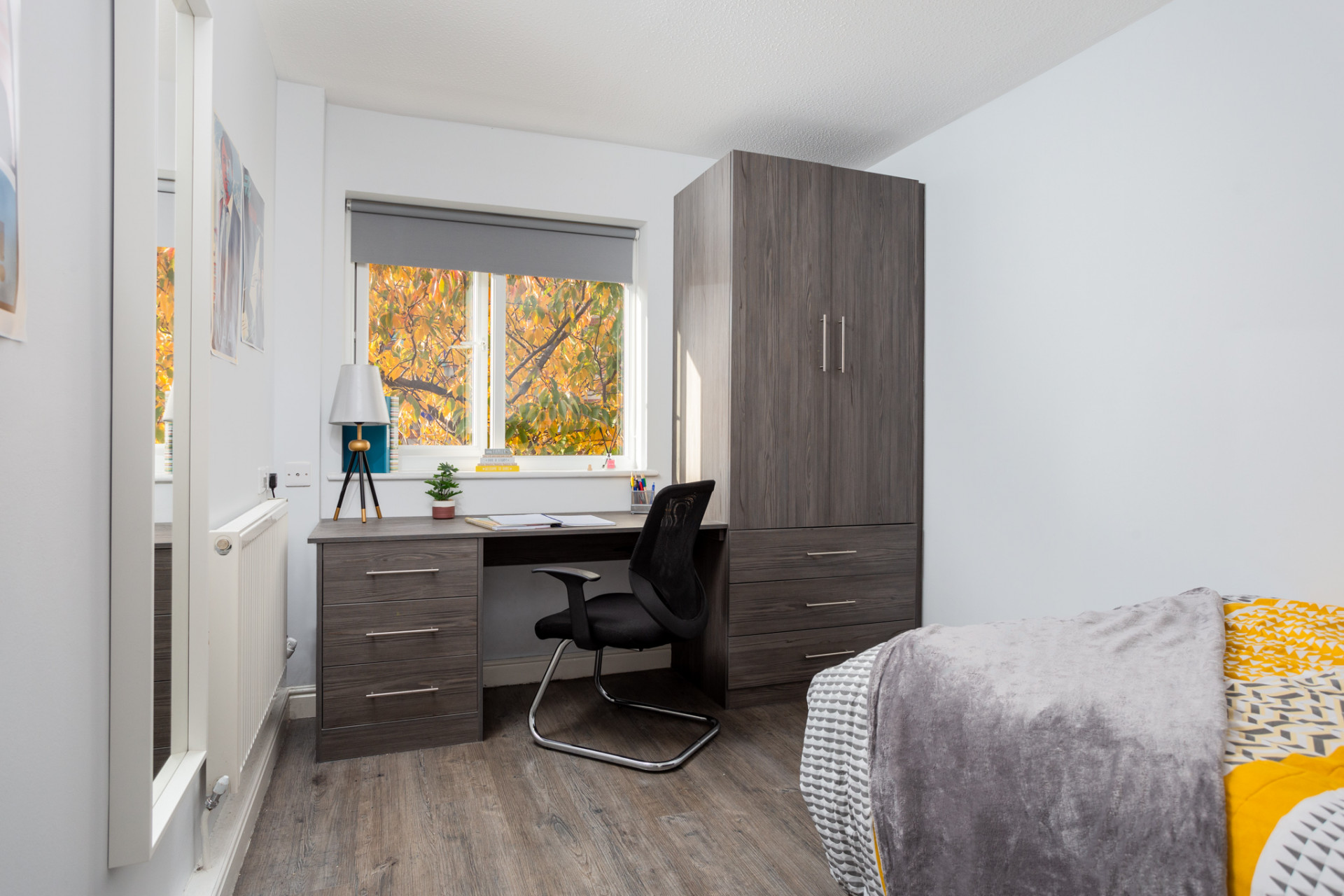 Three Bed Flat - Royal Park - Gallery - 23