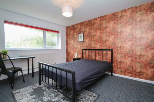 Derby Road - Gallery - 8