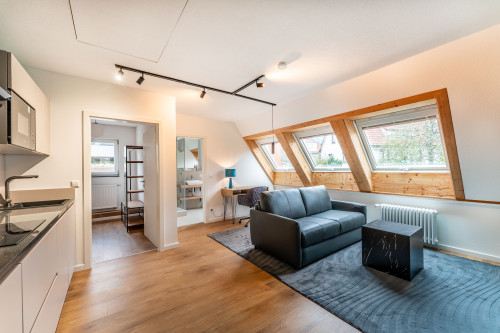 Wonderful and charming loft in Villingen-Schwenningen - Gallery - 19